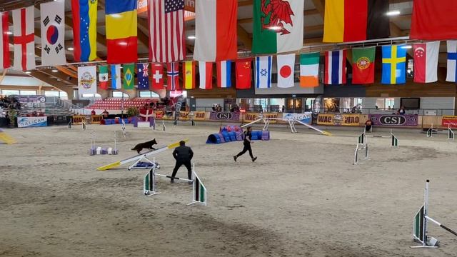 ? World Agility Open 2023 ? - Mona Grefenstein & Infinity Light Powerful Sea смотреть онлайн