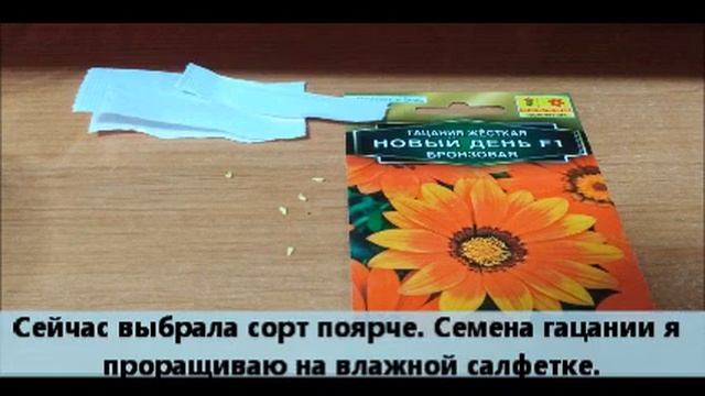 Гацания (газания) из семян. смотреть онлайн