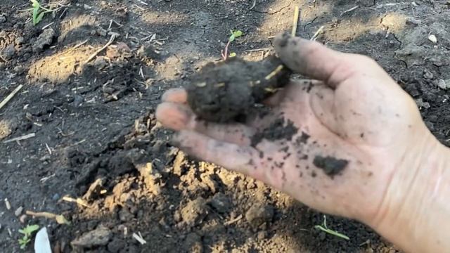 Дедовский инвентарь, садовые инструменты для огорода смотреть онлайн