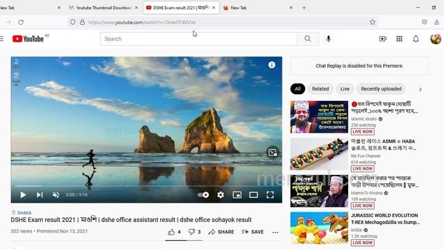 YouTube thumbnail download | get youtube thumbnail image | youtube video thumbnail generator смотреть онлайн