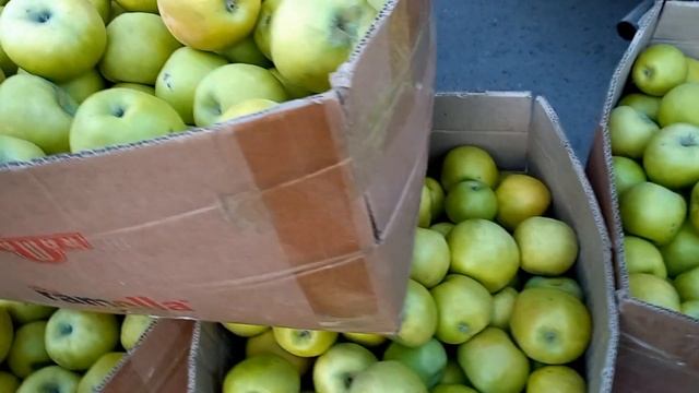 23.02.23 Ош Тешик Таш базары