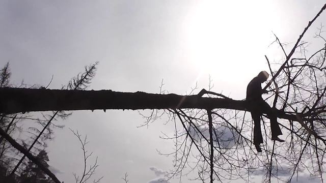Панда в Марийских лесах! смотреть онлайн