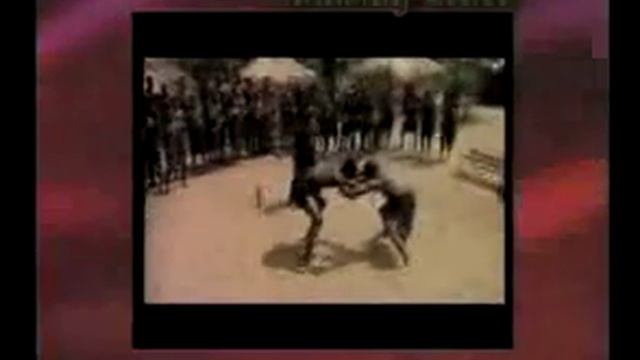 200719Best Visual Effect Snake Girl смотреть онлайн