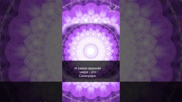 Аджна и Сахасрара. 09/51 смотреть онлайн