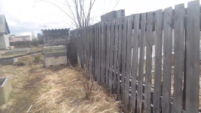 Моя дача 4 и 7 июня. Начало дачного сезона смотреть онлайн