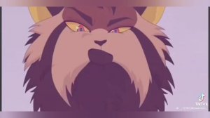 Большая подборка коты-воители из тик-ток!