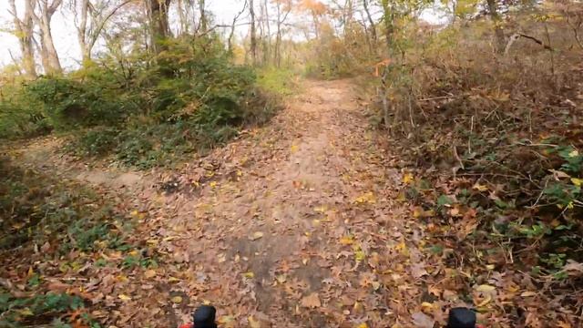 Trek Domane SL6 Gravel/All Road Ride смотреть онлайн