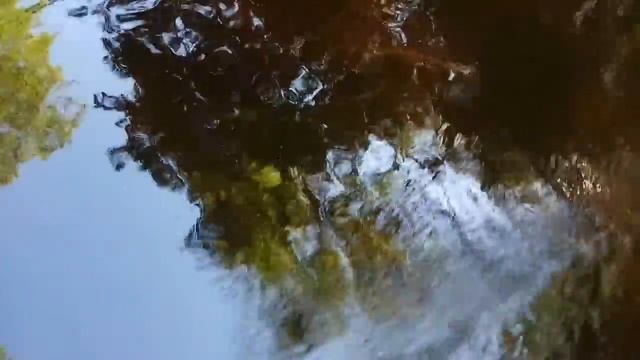 VID 20200625 151854 Павел Васильев Лахтинский. Чахлой снегурки смешной редкие слёзы смотреть онлайн