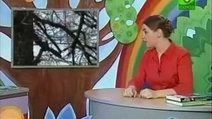 Копия видео "Шишкина Школа  Природоведение  Урок 45  Как животные и птицы готовятся к зиме"