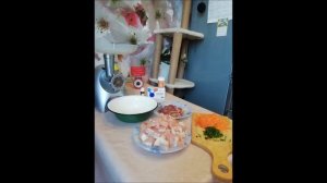 Вкусная и полезная еда для сфинксов своими руками.