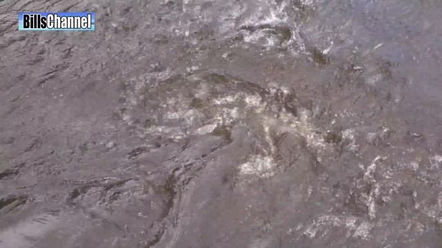 BIGGEST PIRANHA - Amazon River Monsters смотреть онлайн