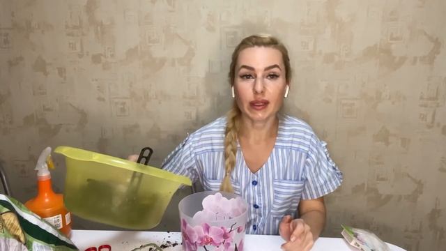 Полная пересадка и обработка фалинопсисов смотреть онлайн