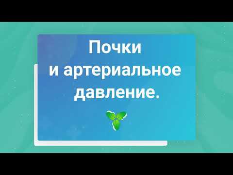 Почки и артериальное давление у детей