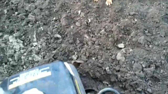 Боксер собака✅ и страшный мотоблок❗❗❗ Boxer dog✅ and the scary tillerblock❗❗❗ смотреть онлайн