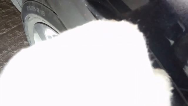 Инструкция по установке фаркопа на Opel Mokka (2013 г.в.) в компании Farkop161.ru смотреть онлайн