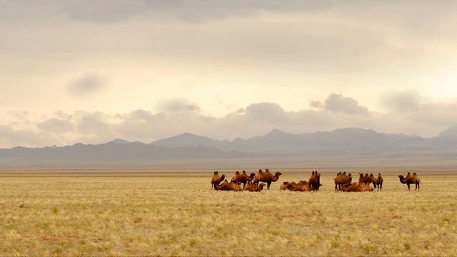 История китайской империи и Хунну – 2 век до нашей эры, часть 7-я