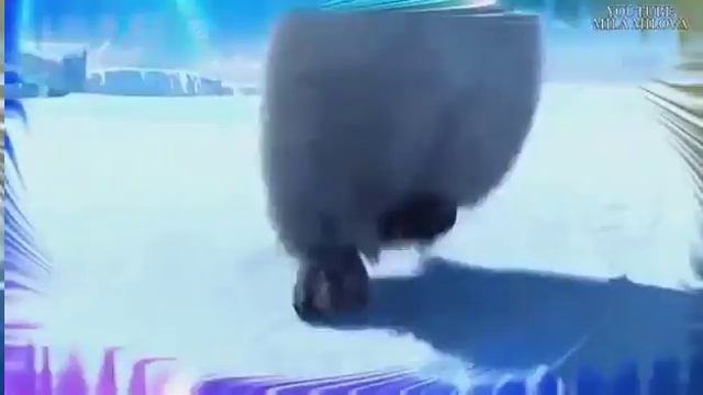 Танцующий пингвин смотреть онлайн