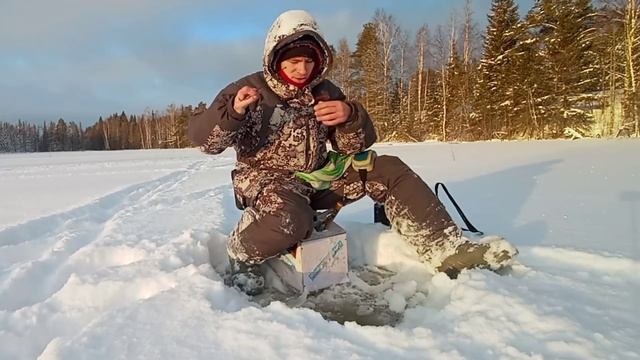 Обожаю такую РЫБАЛКУ! Отличный клёв на озере. Плотва в УДАРЕ. смотреть онлайн
