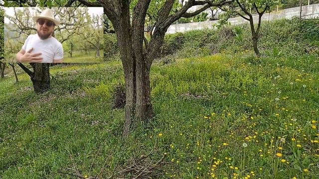 KONTEYNER Köy hayatı süper fırsat (meyve bahçesi şahane) смотреть онлайн