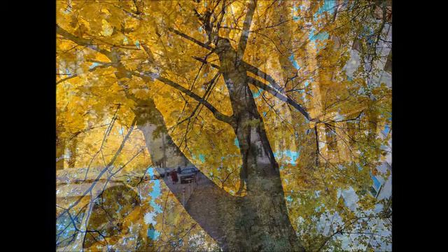 Московская осень под D.White - Forgive me Ballad version New Italo & Euro Disco 2020 смотреть онлайн