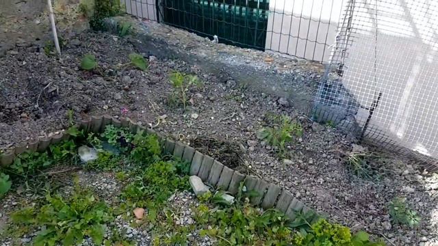 7 мая 2021 г. смотреть онлайн