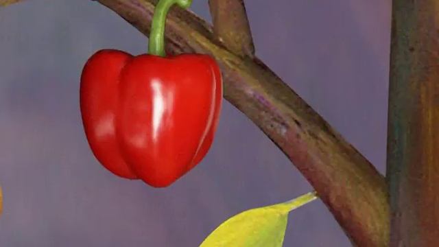 05."Божья коровка".avi смотреть онлайн