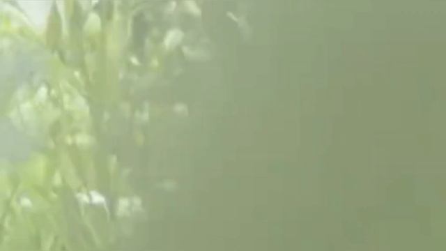 Кометы - polnalyubvi | cover ✨ смотреть онлайн