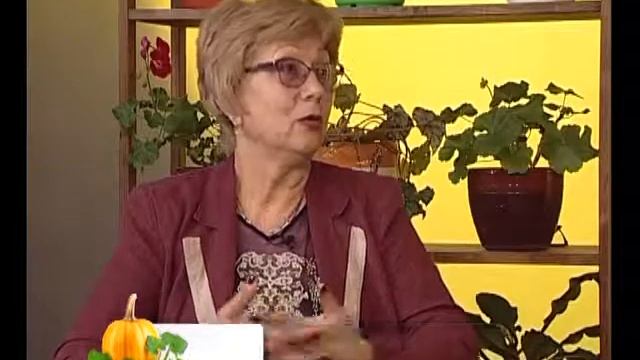 Грядки в порядке уход за комнатными цветами смотреть онлайн