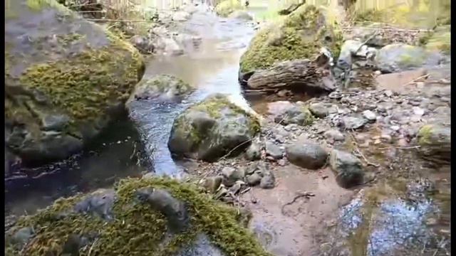 Дом у водопада в курортном районе Кобулети Родниковая вода смотреть онлайн