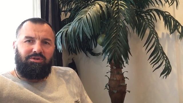 Злой как собака?! смотреть онлайн