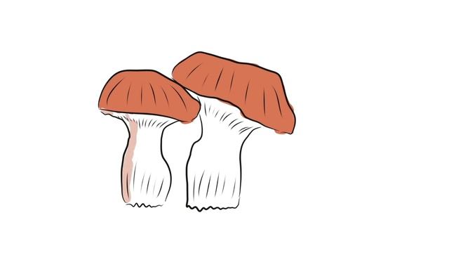 mushroom drawing, painting and Coloring for children, kids let's draw, paint Together рисуем грибы смотреть онлайн