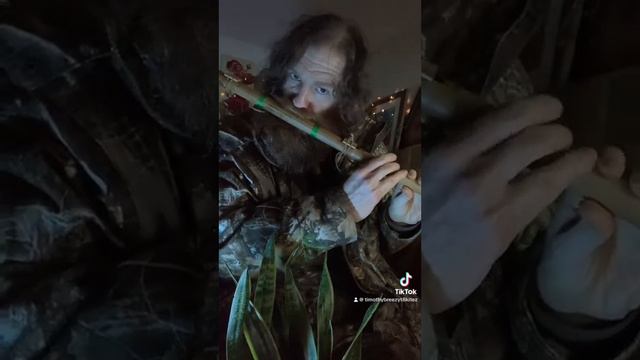 Native double flute walking stick music смотреть онлайн