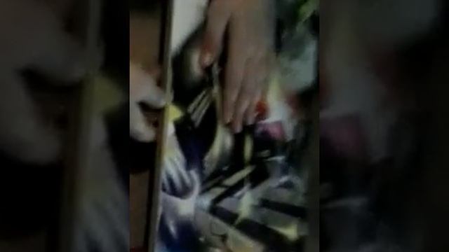 как нужно ремонтировать подшипники на скейте