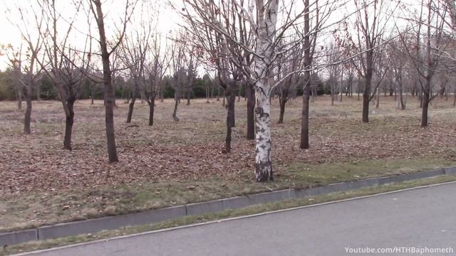 ВЛОГ: Попытка побороть мизантропию / социофобию смотреть онлайн