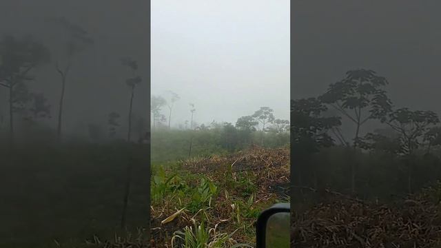 previsão pra chuva смотреть онлайн