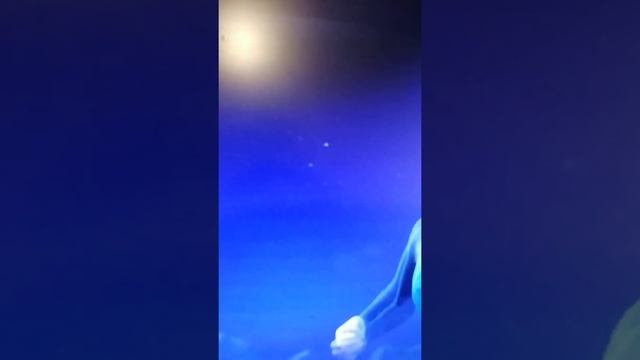 песня "Отпусти и забудь" смотреть онлайн