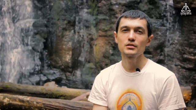 Хатха-йога онлайн для начинающих смотреть онлайн