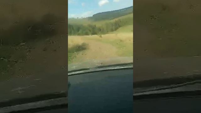 завершение гонок кульминацией Горная тропа 29.08.15 г. Красноярск смотреть онлайн