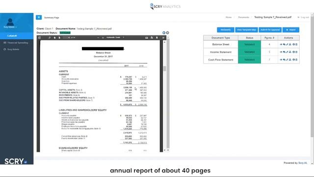Collatio for Annual Reports FS Notes AI product by Scry AI смотреть онлайн