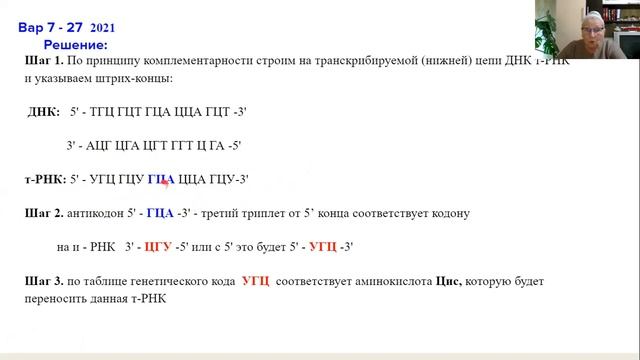 Задачи линии 27 на биосинтез белка - синтез т - РНК смотреть онлайн