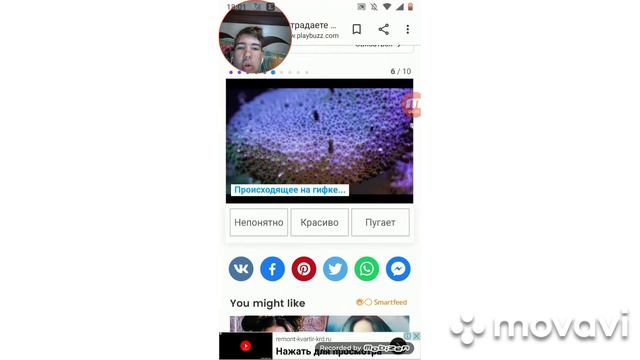 тест на трипофобию у меня такой фобии нет смотреть онлайн