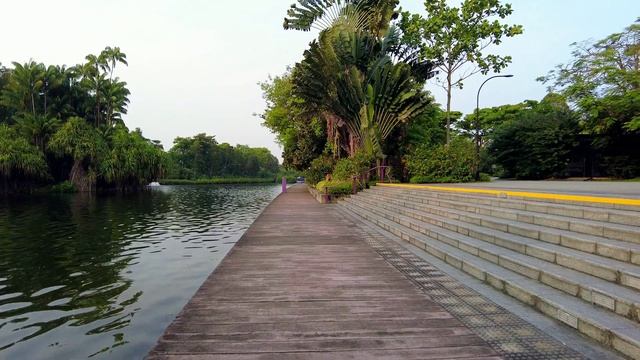 Marina Bay to Gardens by the Bay | Singapore Gardens by the Bay Walk | Singapore Marina Bay смотреть онлайн