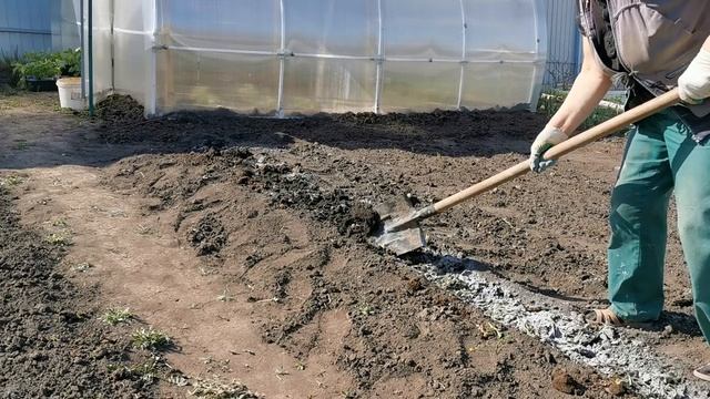 Посадка огурчиков в открытый грунт смотреть онлайн