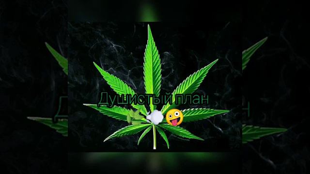 душистый план [remix] смотреть онлайн