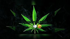 душистый план [remix]