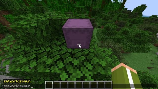 Minecraft Java 1.18.1 Any Item Dupe Glitch!! *New*