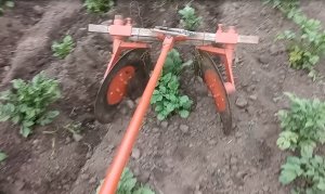 Ручной дисковый окучник. Первичная опашка картофеля.