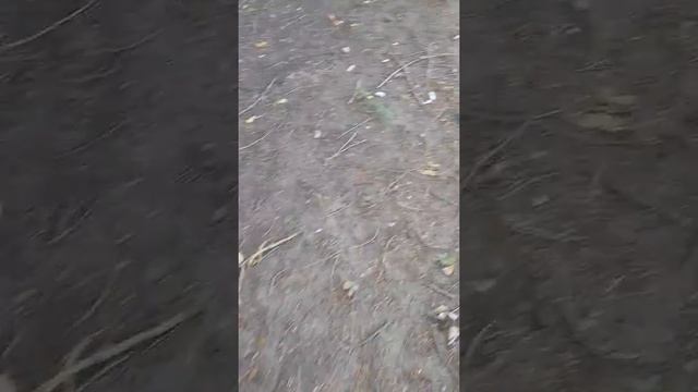 Ужас в Ростове-на-дону смотреть онлайн