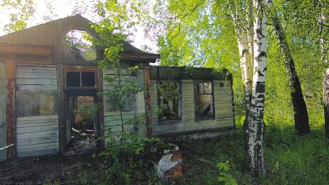 Чайка Ещё живой смотреть онлайн