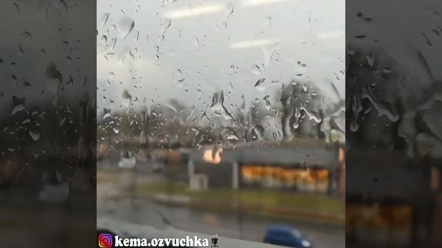 ПЕРЕЖИВАНИЕ МОЛЧА / ЦИТАТЫ